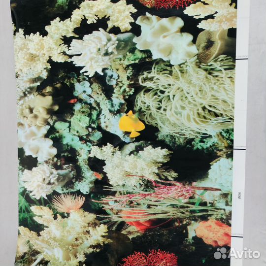 Аквариум с рыбками