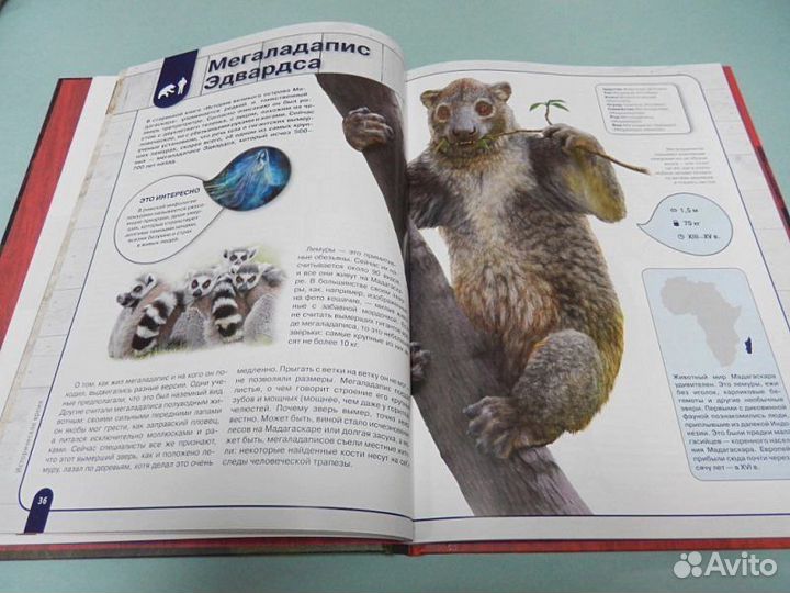 Красная книга Исчезнувшие животные земли