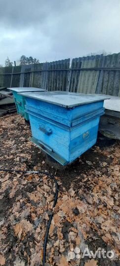 Продам ульи для пчел
