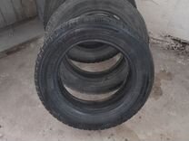 Dunlop Graspic DS3 205/60 R16