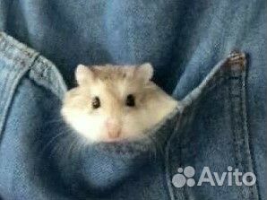 Бумажные драконы на руку