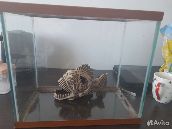 Аквариум