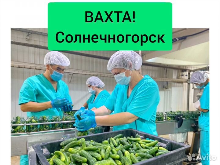 Фасовщик(ца) Солнечногорск. Ежедневные оплаты