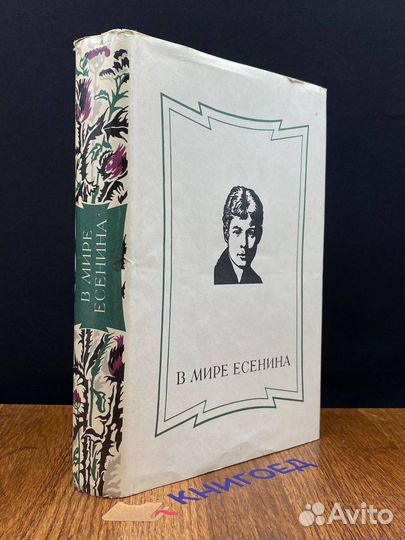 В мире Есенина