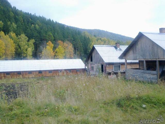 Участок 64 сот. (СНТ, ДНП)