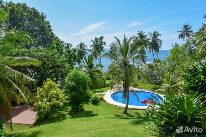 Шри-ланка Eva Lanka 1 декабря на 10 ночей