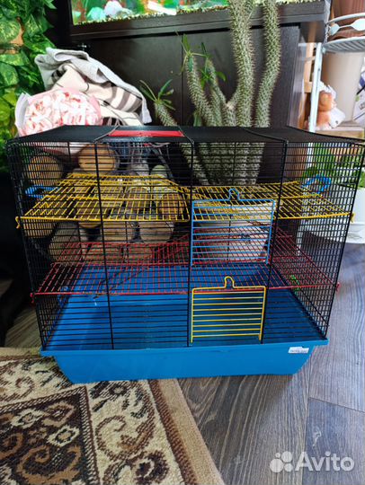 Клетка для грызунов