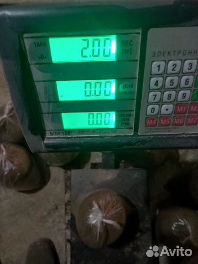 Жмых подсолнечный Макуха для Рыбалки Пахучий