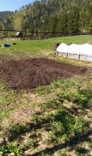 Дом 31,4 м² на участке 36 сот.