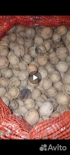 Грецкий орех в скорлупе 2023