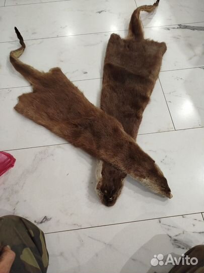 Шкуры норки коричневые