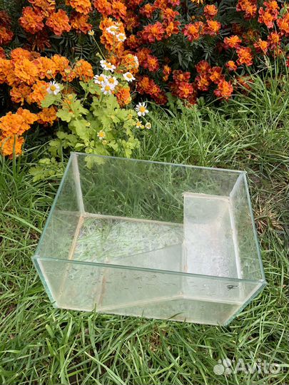 Аквариум для черепах бу