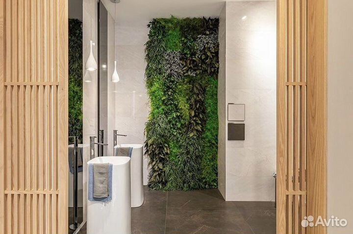 Фитостена, вертикальное озеленение Нижний Новгород