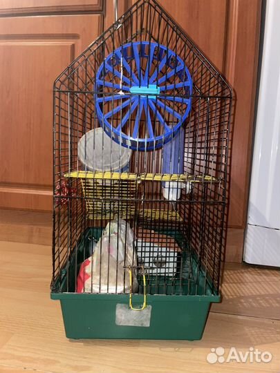 Клетка для грызунов