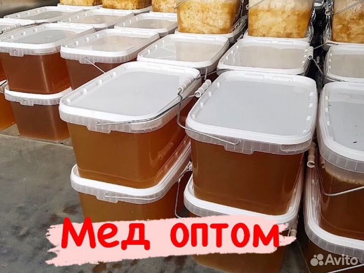 Мед оптом. Таежный мёд