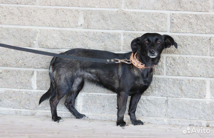 Подари шанс на счастливую жизнь