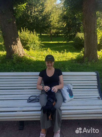 Выгул собак, передержка животных, догситтер