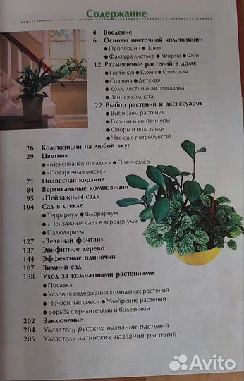 Композиции из комнатных растений Доронина Н. В