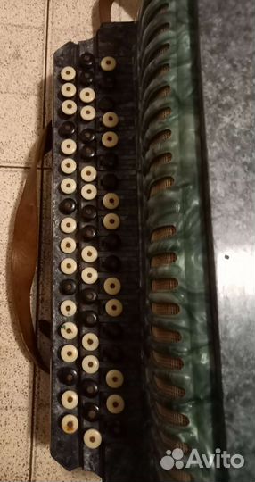 Баян Полтава