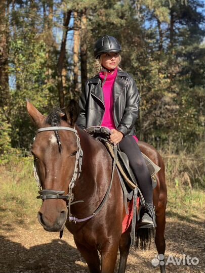 Конные прогулки