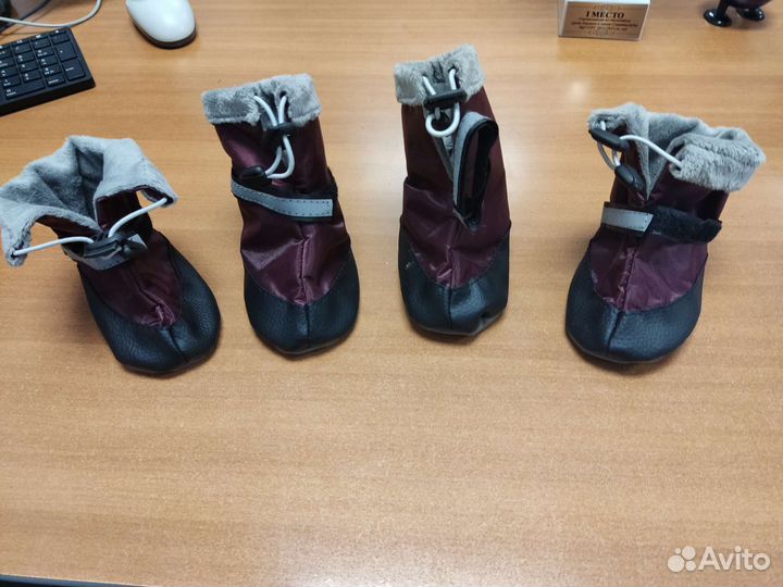 Сапожки для овчарки