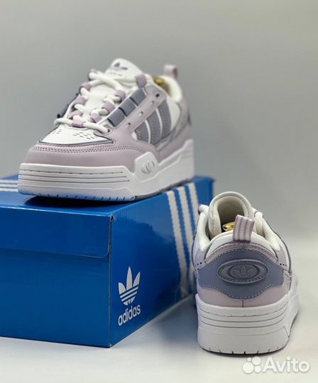 Adidas ADI2000 Silver Violet