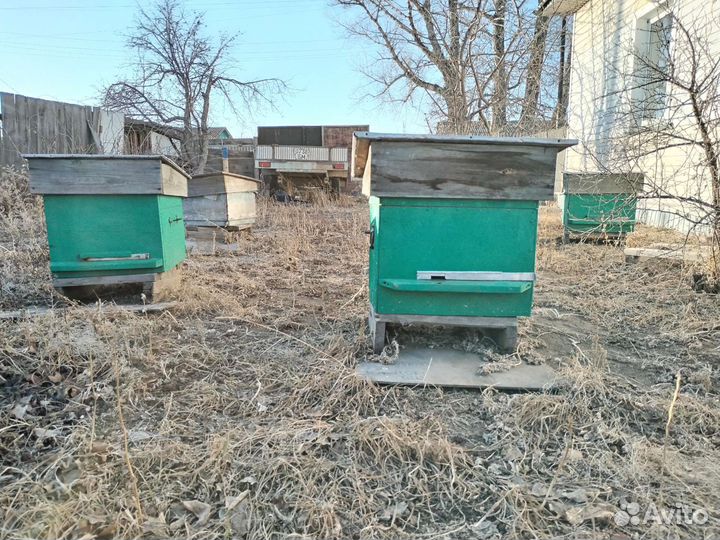 Улей для пчел
