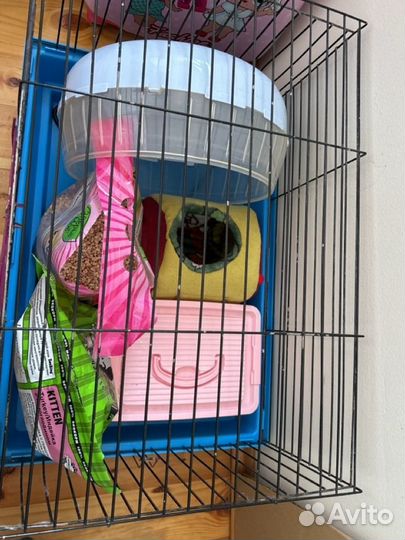 Все для ежа