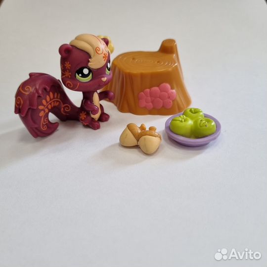 Littlest pet shop Белка + аксессуары