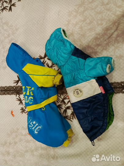 Одежда для собак мелких пород