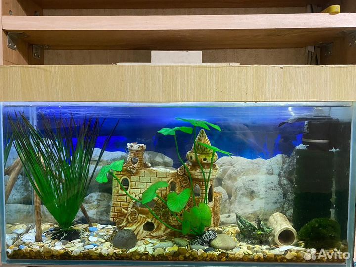 Аквариум