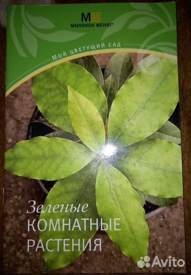 Книга по уходу за цветами:комнатные и садовые
