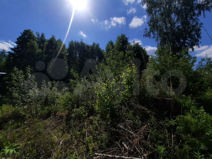 Участок 10,6 сот. (СНТ, ДНП)