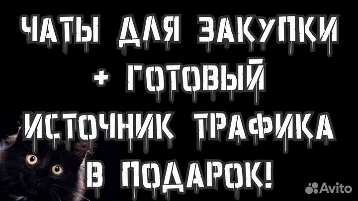 Телеграм бот. Telegram разработка