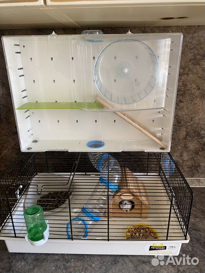 Клетка для грызунов бу с хомяком и тд