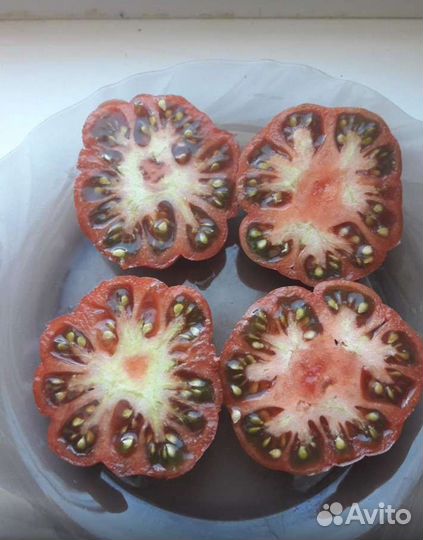 Ребристые сорта томатов