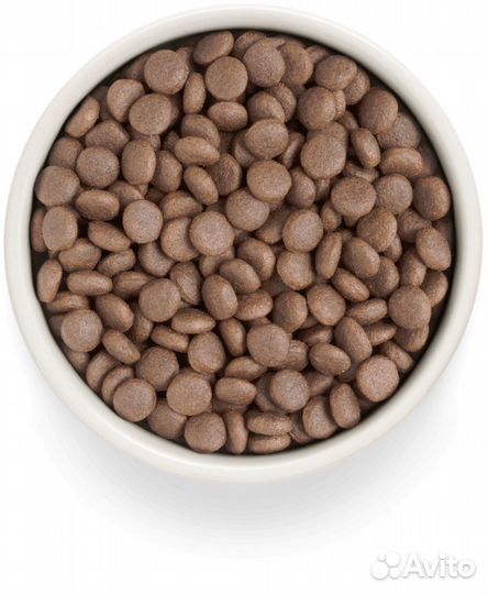 Корм для собак PR Adult Turkey Med 10 кг