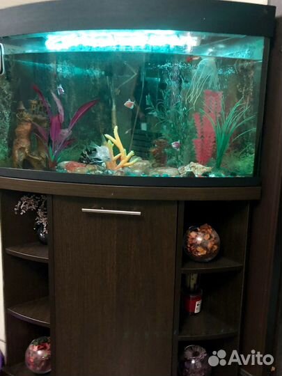 Аквариум 120 л, рыбки растеня. Тумба на выбор