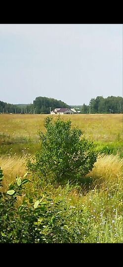 Участок 16,5 га (СНТ, ДНП)