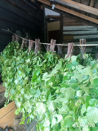 Продам веники березовые