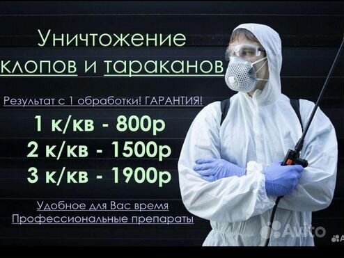 Дезинфекция от тараканов и клопов, блох