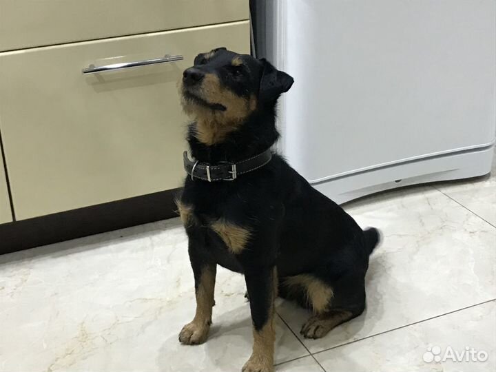 Вязка