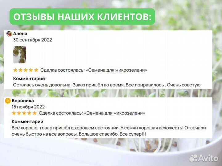 Микрозелень