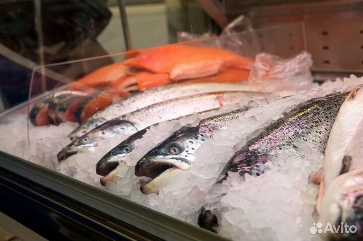 Готовая франшиза рыбного магазина под ключ
