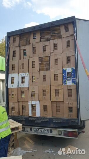 Банановая коробка