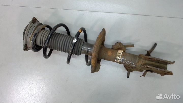 Амортизатор подвески Nissan Juke, 2012