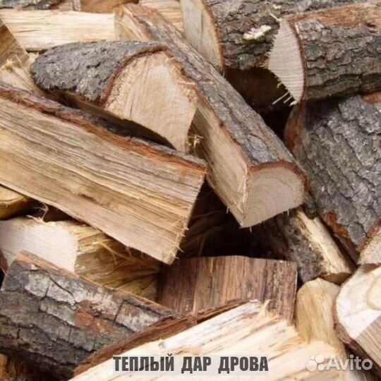 Дрова сухие