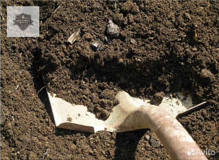 Земля плодородная