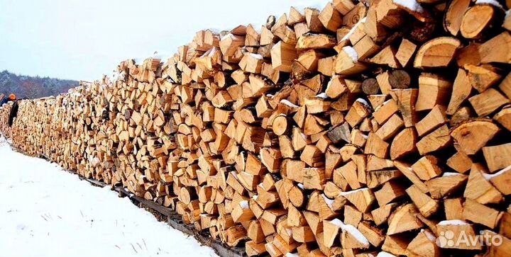 Дрова без муравьев