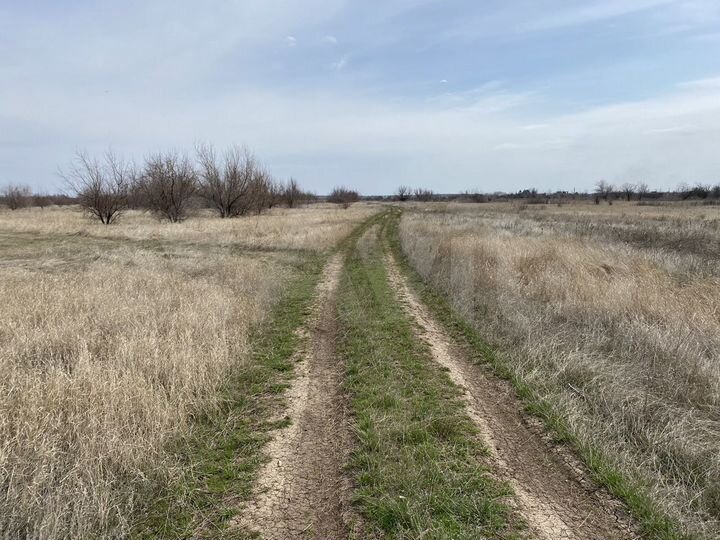 Участок 61 га (СНТ, ДНП)